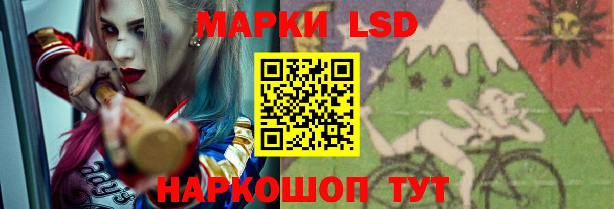 Новокубанск  LSD-25 экстази ecstasy  ЛСД экстази ecstasy  Лсд 25 экстази  Вход с VPN 
