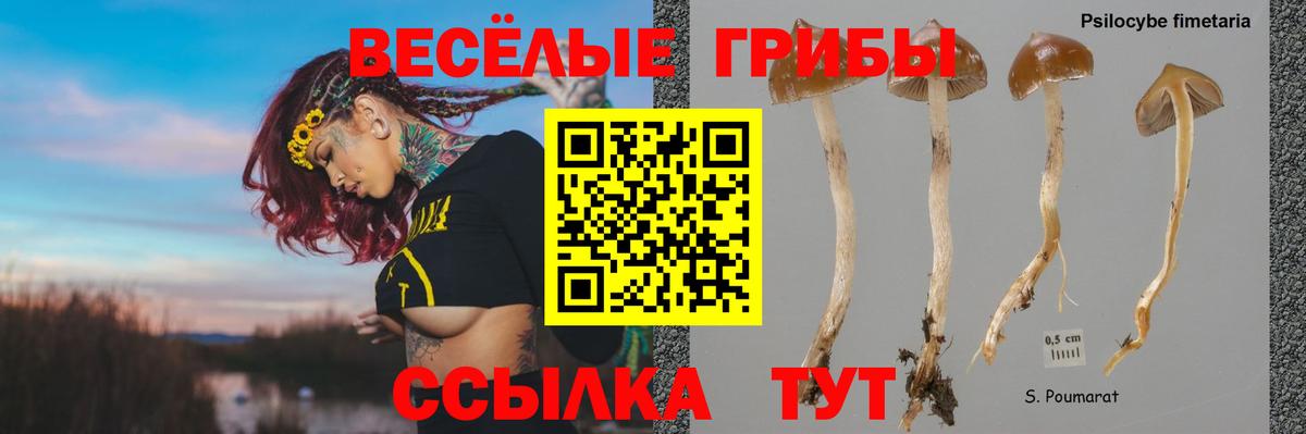Новокубанск  Псилоцибиновые грибы мухоморы  Вход с VPN 