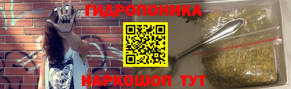 Конопля OG Kush  Бошки марихуана семена  Каннабис семена  Вход с VPN  Новокубанск 